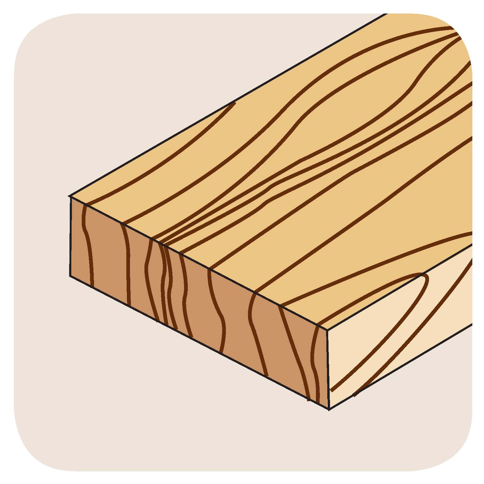 Eigenschaft: Holz Querschnitt (Weichholz, Hartholz, Exotenholz, Furniere) Eigenschaft: Holz Querschnitt (Weichholz, Hartholz, Exotenholz, Furniere)