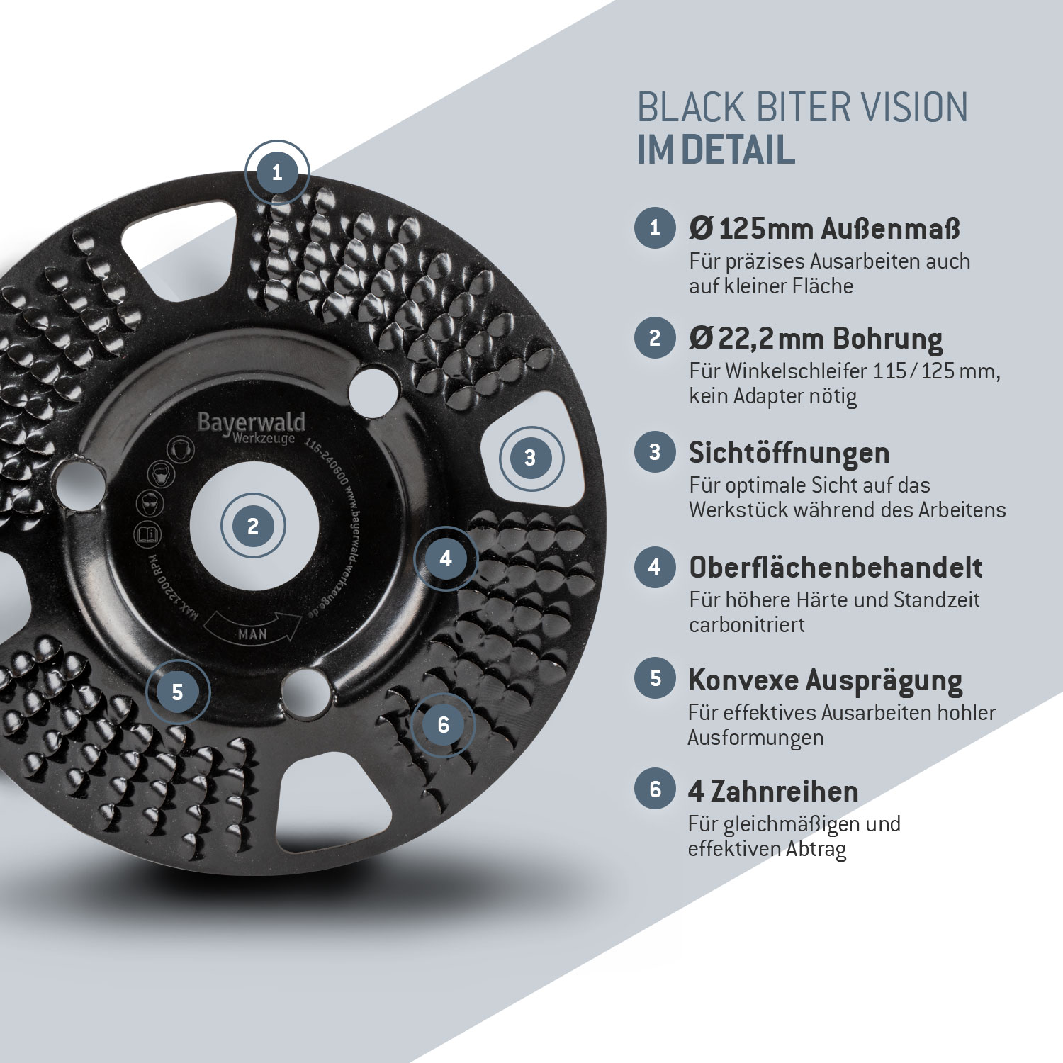 Bayerwald Raspelscheibe Black Biter Vision Ø125 mm für Winkelschleifer