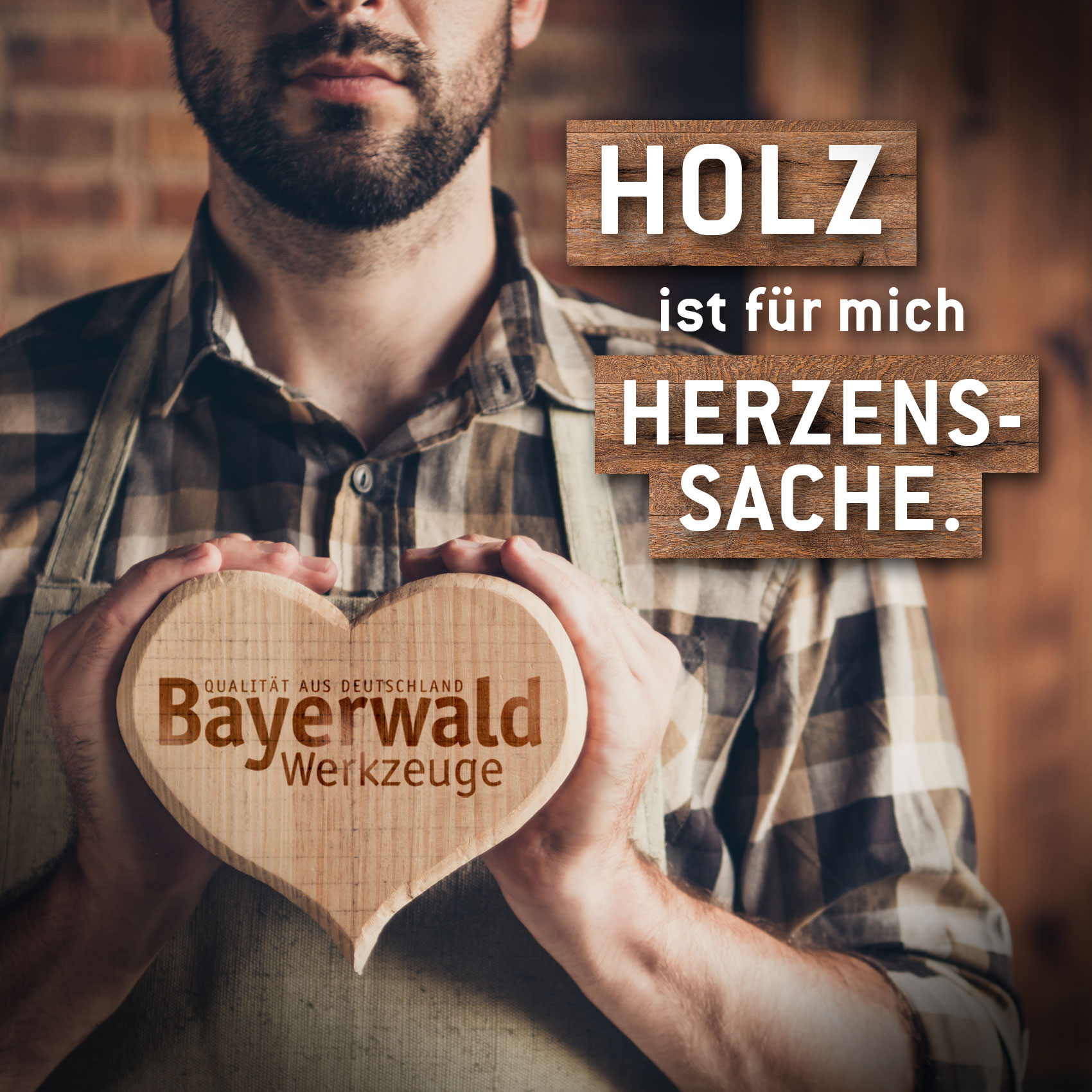 2x Bayerwald Bent Force Stichsägeblätter 130/105mm